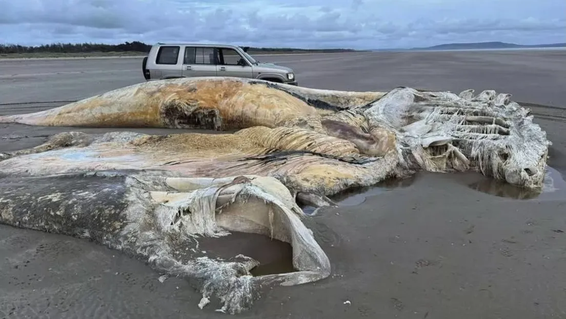 68b9a42ee9ff7123db6fe63a