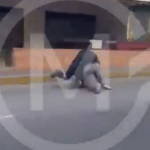 Captura-de-pantalla-2026-05-26-a-las-9.05.15-a.m