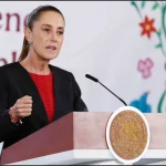 sheinbaum-crimen_organizado-reforma_electoral_version1779374711649.jpg_1747660413