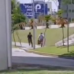 Captura-de-pantalla-2026-06-04-a-las-3.46.15-p.m