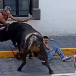 Captura-de-pantalla-2026-06-22-a-las-9.49.42-a.m