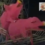 Captura-de-pantalla-2026-07-21-a-las-9.20.19-a.m