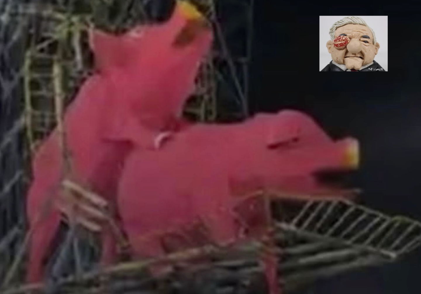 Captura-de-pantalla-2026-07-21-a-las-9.20.19-a.m