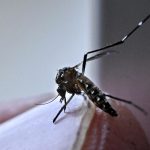 Calentamiento récord, estrés laboral y dengue: las nuevas verdades de la ciencia climática