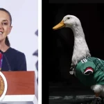 karla-duena-pato-merlin-casa