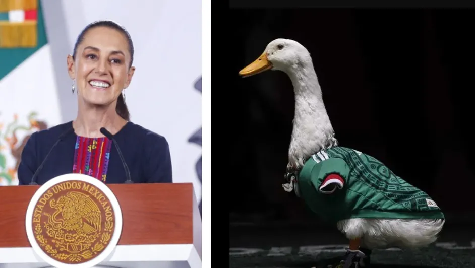 karla-duena-pato-merlin-casa